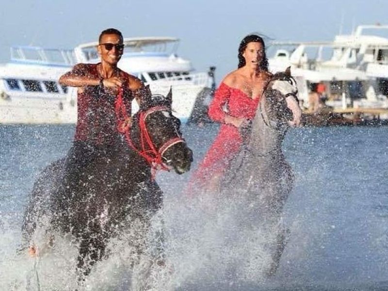 Private Horse Riding in Hurghada