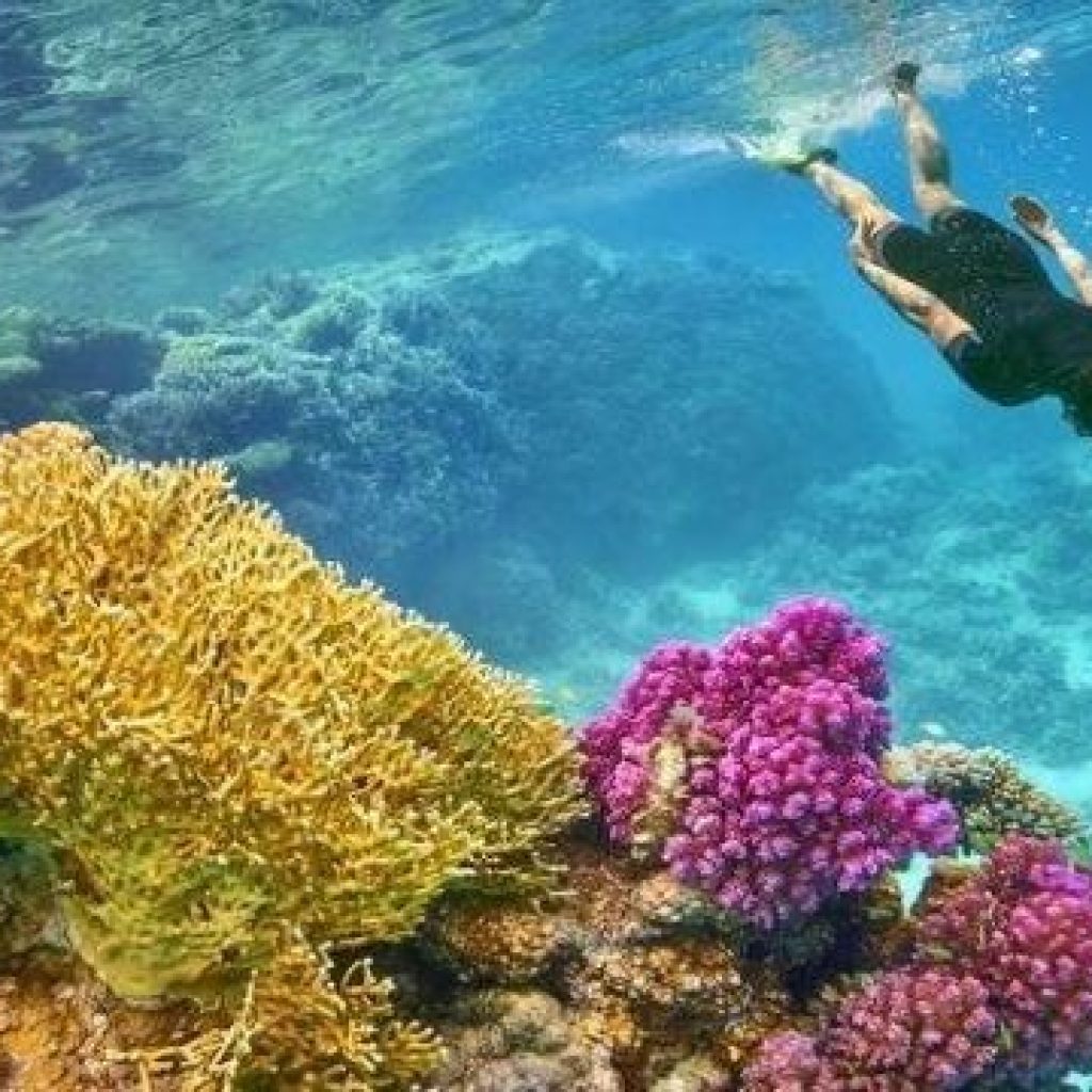 Snorkeling tour to Sharm El-Luli Bay