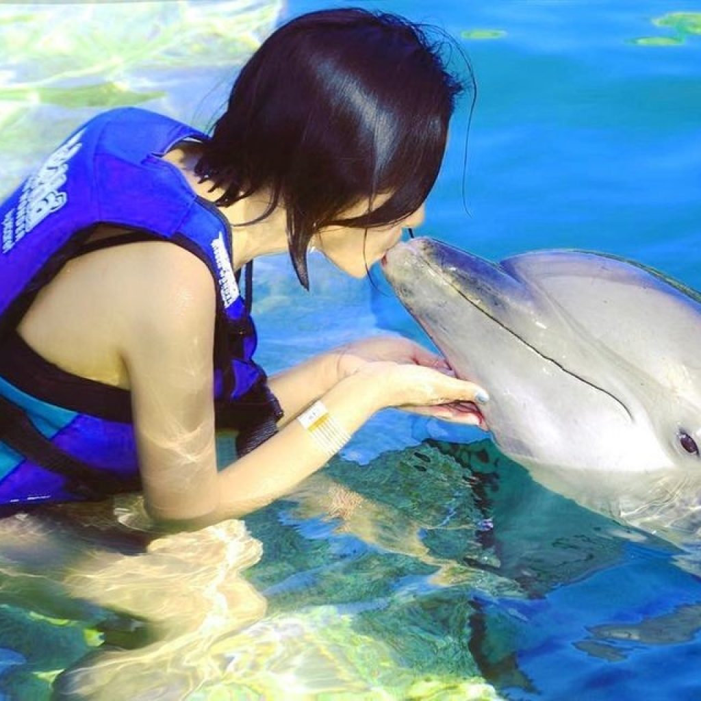Dolphin Show - Dolphinarium - Hurghada