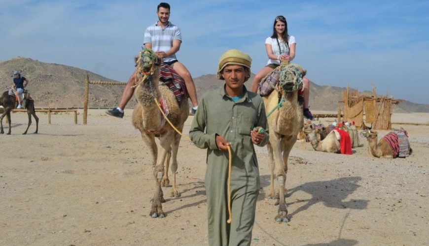 Camel ride excursion in Hurghada