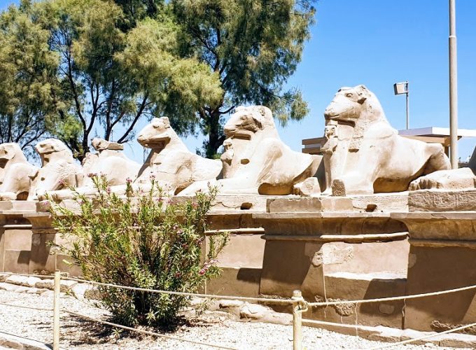 From Hurghada: private day trip to Luxor