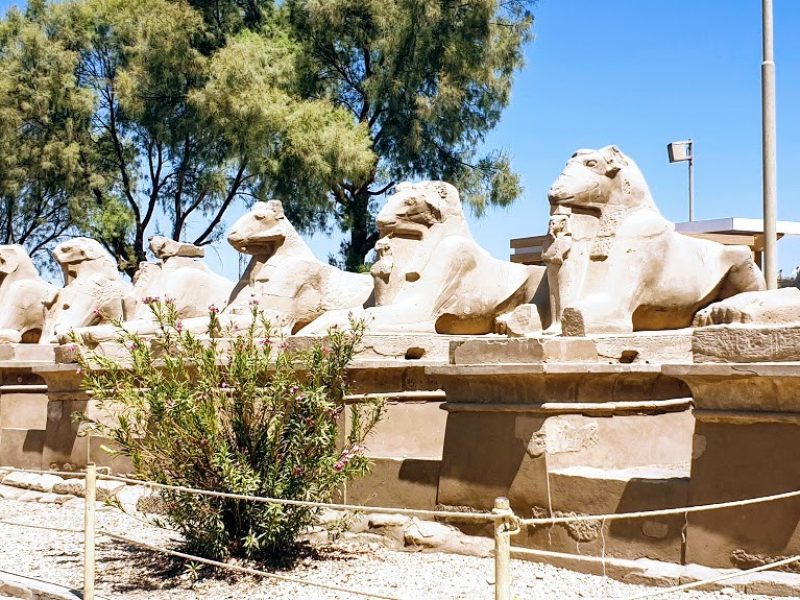 From Hurghada: private day trip to Luxor