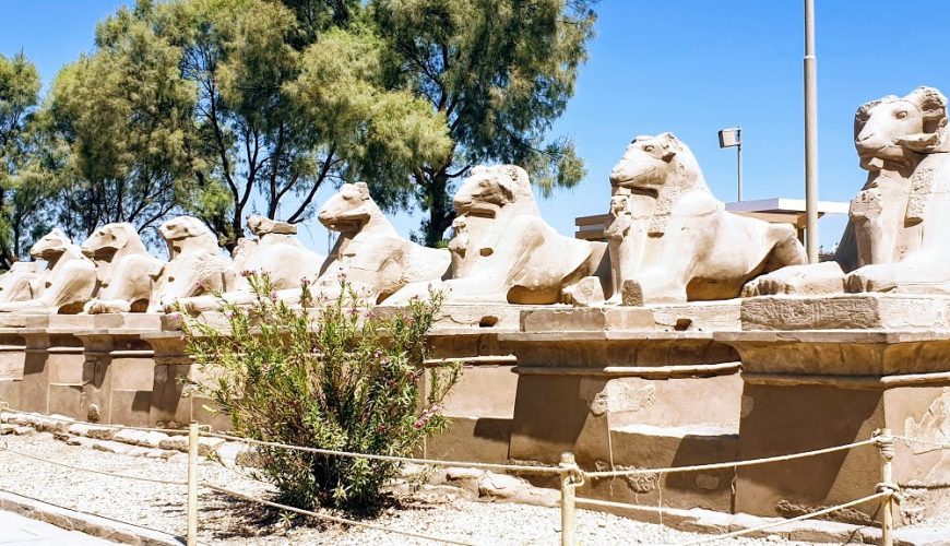 From Hurghada: private day trip to Luxor